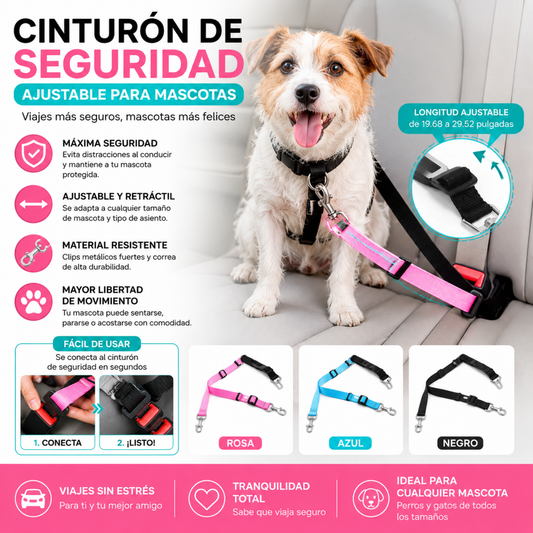 PetSecure™