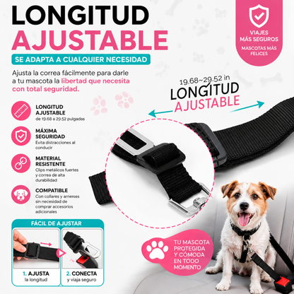 PetSecure™
